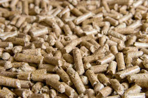 corn cob pellets scattered on surface