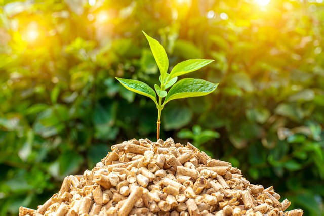 corn-cob-horse-bedding2