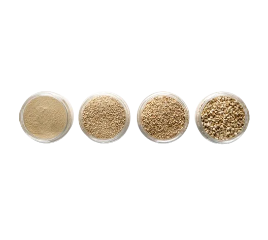 Various types of corn cob grains