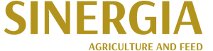 sinergia logo