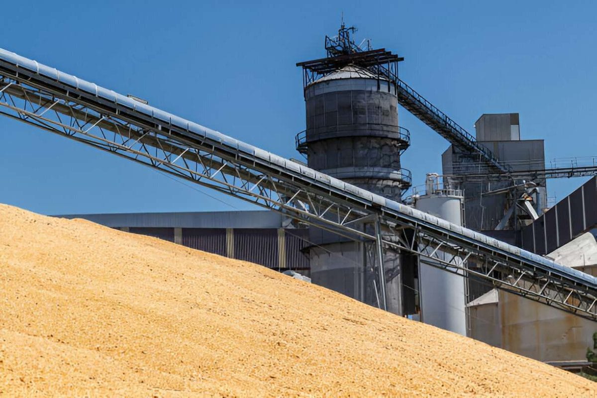 sinergia _corn cob factory